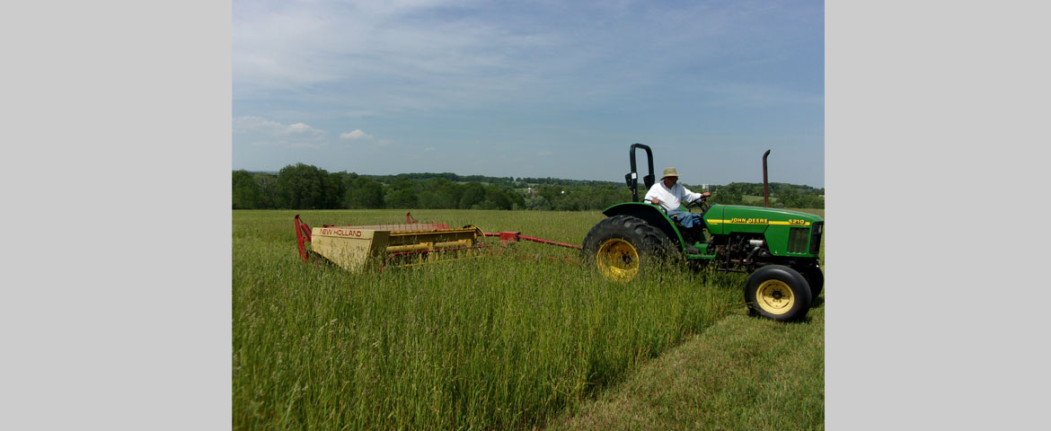 grass hay. Photo Courtesy of Joseph Heckman 