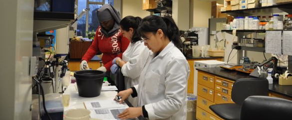 Photo: Students working in a lab.