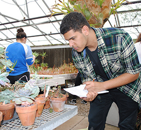 Student studying plant during university course
