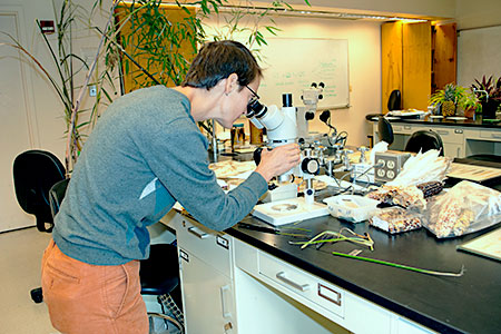 Student looking into a microscope.