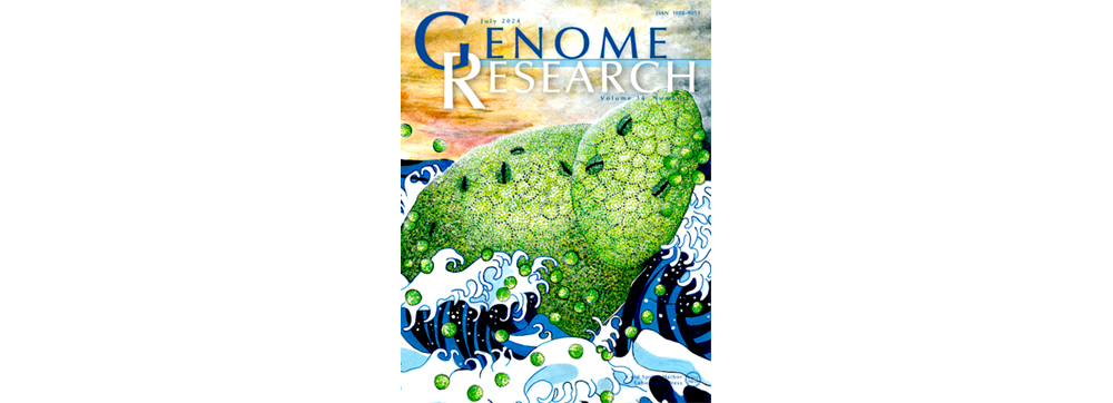 Genome Research cover photo July 2024