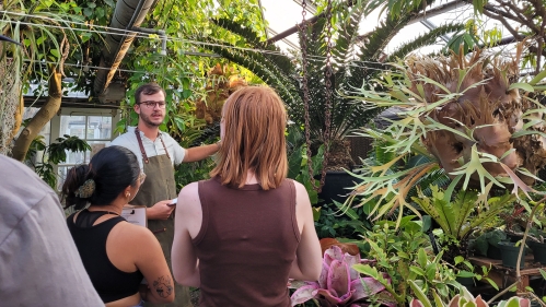 Floriculture greenhouse