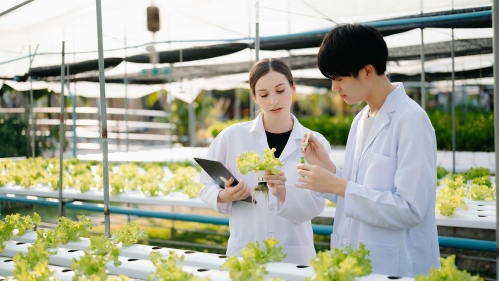Two researchers in a greenhouse taking samples of young plants