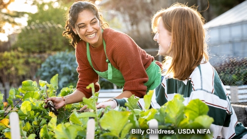 Students in a floriculture greenhouse. Photo credit: Billy Childress