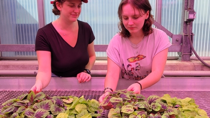 Students in floriculture greenhouse