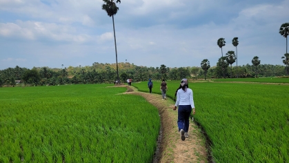 Students walking