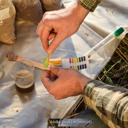 Soil test