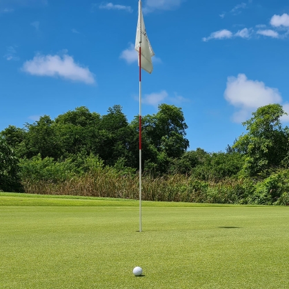 Golfball on green