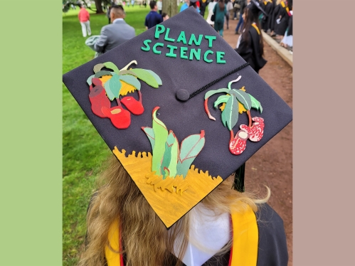 Student's graduation cap