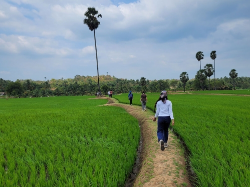 Students walking