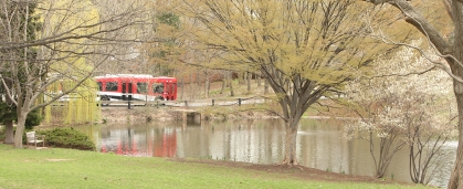 A bus near Passion Puddle