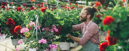 Florist working with flowers at a plant nursery greenhouse