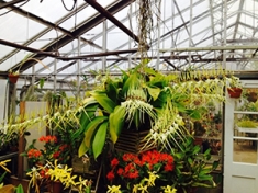 Floriculture greenhouse teaching collection