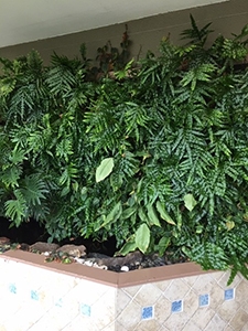 Living wall in the floriculture greenhouse