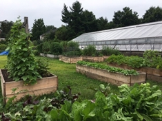 View on the floriculture greenhouse